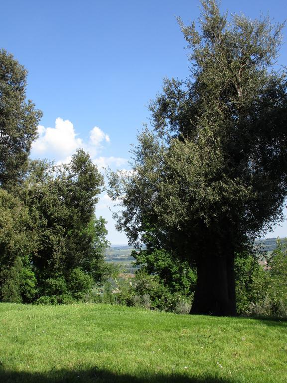 Tenuta Olmatello Quartolo Exterior photo